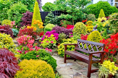 Beautiful flower garden for relaxing - flowers, lovely flowers, nature, pink colors, time for relax, spring, colorful nature, azelea flowers