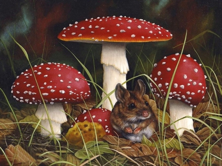 Mushroom and mouse - amazing, beautiful, mouse, grass, forest, lovely, dark, colorful, re, white, animal, nature, rown, painting, mushroom, color