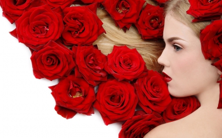 Red roses for the beautiful you - woman, love, roses, red