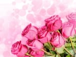 Pink roses