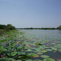 Kakadu National Park