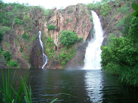 Litchfield Falls - trees, waterfall, cliff, river