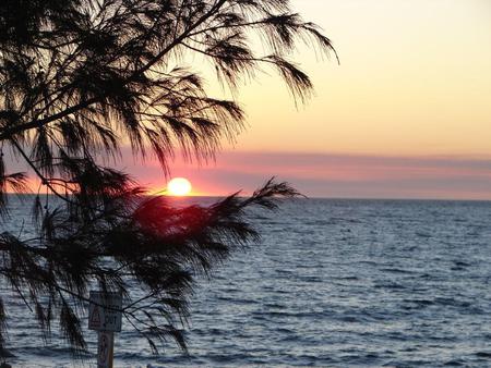 Sunset, Rottnest Island - sky, ocean, island, tree, sunset