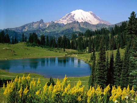 stunning valley - alps, nature, snow, beauty, forest, mountains, lakes