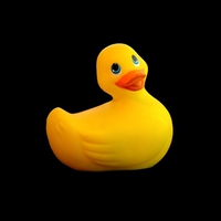 quack-quack