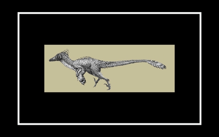 Velociraptor mongoliensis - velociraptor, black, great, amazing, reptiles, prehistoric, reptile, picture, paleontology, prehistory, animal, animals, cool, awesome, dinosaur, dinosaurs, drawing, beneteau, nice, other