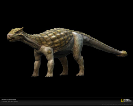 ankylosaurus national geographic