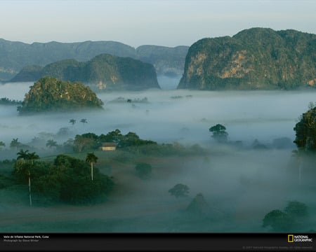 Mesozoic mogotes - Jurassic period - forest, beautiful, amazing, prehistoric, picture, photography, fog, nature, national geographic, paleontology, mountains, prehistory, cool, dinosaur, dinosaurs, jurassic, mogotes, foggy, nice, other, green