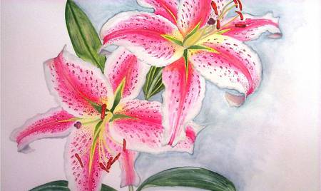 Tiger Lilies - flowers, art, tiger lily