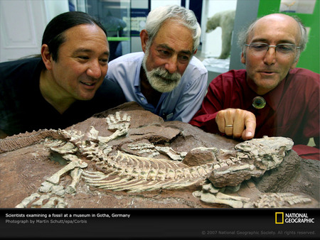 Paleontologists fossil - prehistoric, dinosaurs, dinosaur, amazing, great, paleontology, skull, permian, animal, nice, other, prehistory, men, photography, cool, picture, awesome, national geographic, fossil, animals