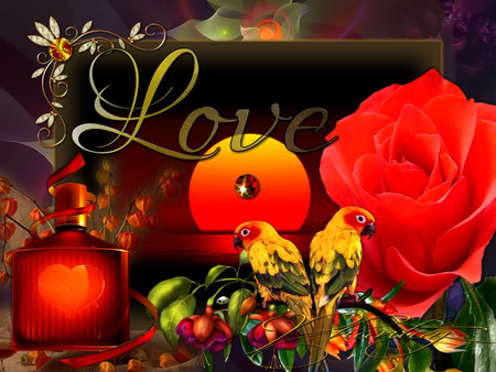 Sunrose Love - flowers, parrots, perfume, red rose, love