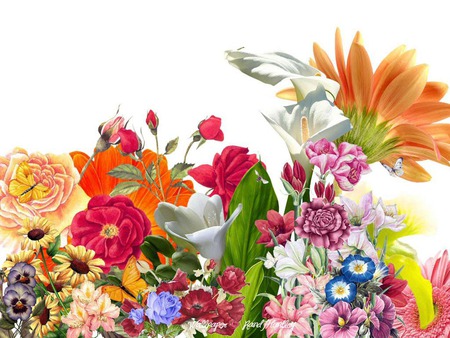 Beautiful Flowers - mixture, flowers, bouquet