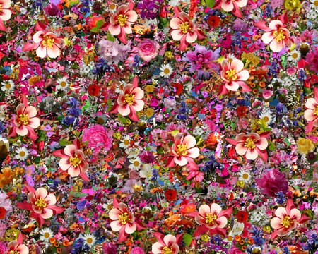 Flowers Everywhere! - collage, mixture, flowers