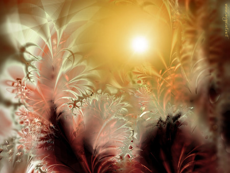 Ferns in the Sunlight - fractal, ferns, light, sun