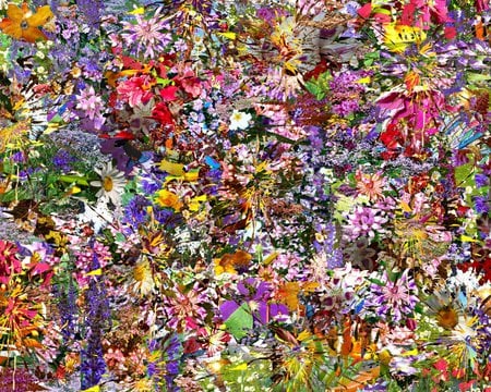 Mindelic Flowers - collage, mixture, flowers