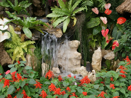 Tropical Flower Garden - ferns, waterfall, garden, tropical flowers