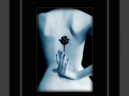 BLACK ROSE - black, girl, posing, rose