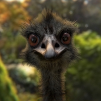 Look Ostrich