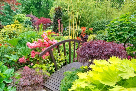 Colours of early summer in the middle garden - lovely flowers, summer, photography, splendor, colors, flowers, green nature, nature, garden, paradise, pink color, bridge