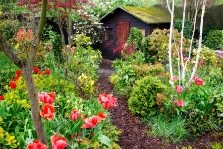 Spring flowers in the Garden shed - colors of nature, spring colors, photography, paradise, path, plants, lovely fowers, spring, nature, garden shed, splendor, flowers, lanscape, birds