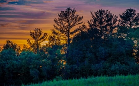 Sunset - amazing, sunset, trees, clouds