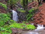 Forest Waterfall