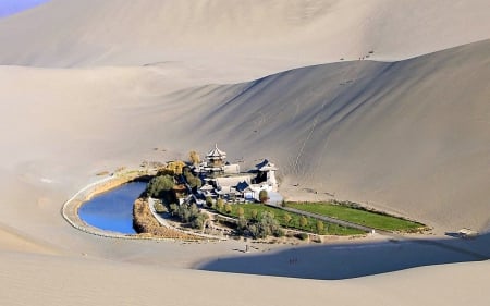 Oasis in Middle of Gobi Desert