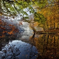 Autumn Mirror