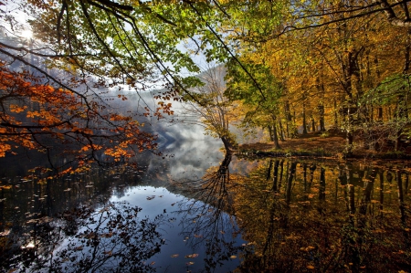 Autumn Mirror - panorama, reflections, lakes, view, amazing, yellow, cool, landscape, scenic, place, maroon, nature, beautiful, mirror, seasons, leaves, spectacle, nice, autumn, photography, image, leaf, foggy, brown, clouds, green, orange, rivers, scene, morning, forests, red, scenery, fog, splendor, awesome, colors, pciture, photo, tress, reflex, natural