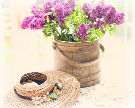 Lilacs - flowers, purple, nature, lilacs