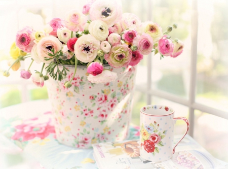 Soft Flowers - nature, flowers, cup, soft