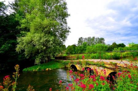 Rural landscape - greenery, trees, beautiful, creek, landscape, grass, rustic, village, flowers, river, shore, bridge, rural