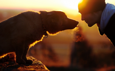 Man and dog - puppy, animals, lovely, pretty, puppys, beautiful, dog, animal, dogs, sweet, cute