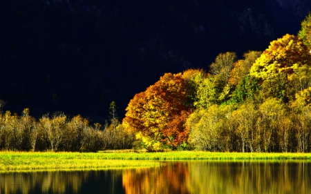 Autumn - lake, trees, nature, autumn