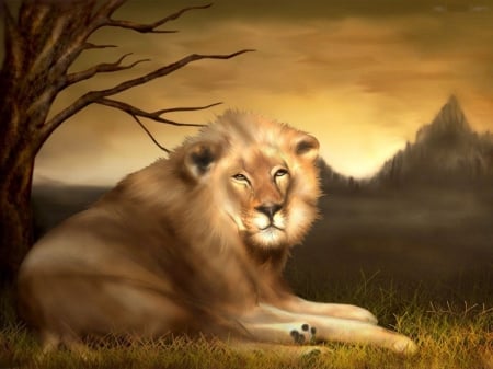 The wise old King - resting, lion, landscape, artwork