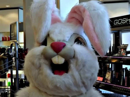 Happy Easter everyone - white, costume, easter, bunny