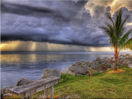 Cloudy Sunset - sky, reflection, clouds, sun, bench, hdr, palm, sea