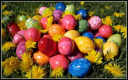 Pretty Easter Eggs - eggs, flowers, Easter eggs, Spring, grass, Easter