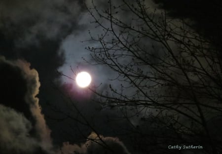 Touched By The Moon - moon, nature, sky, clouds, space