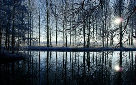 Winter Light - sun, panorama, reflections, amazing, view, cool, cold, river, sunny, trunks, branches, lake, landscape, scenic, light, constrasts, wallpaper, snow, beautiful, mirror, dawn, seasons, high definition, spectacle, beauty, nice, sky, sunshine, trees, photography, water, image, brightness, silhouettes, clouds, scene, morning, day, shadows, winter, hd, picture, bright, scenery, splendor, awesome, lightness, photo, reflex