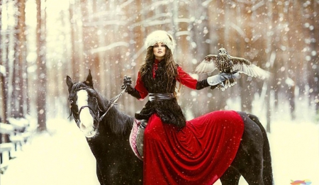 Beauty - horse, winter, lady, model