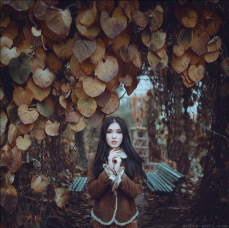 Autumn Lady - photography, lady, model, autumn