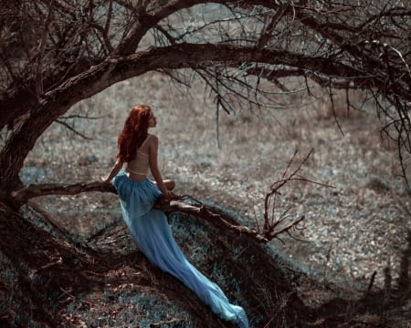 Waiting for you - trees, branch, woman, sitting