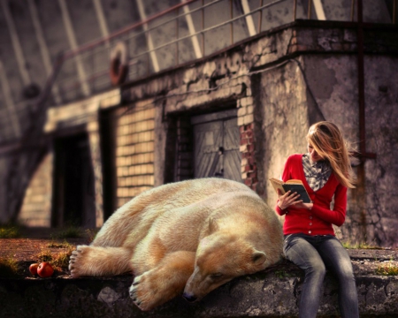 Story time - bear, sleeping, woman, reading