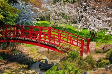 Park in spring - pretty, blossoms, creek, grass, spring, forest, scent, garden, trees, beautiful, fragrance, freshness, blooming, river, nature, bridge, park