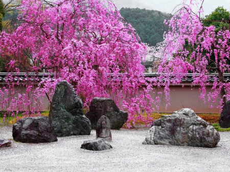 Spring in the town - pretty, trees, blossoms, town, beautiful, fragrance, beauty, spring, colors, pink, stones, flowering, countryside, scent