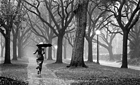 running in the rain - street, trees, umbrella, dress