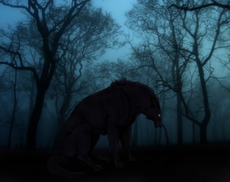 forest by night - wolf, illuminating, eyes, animal, big