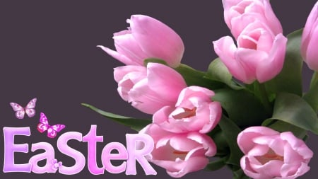 EASTER TULIPS - easter, tulips, flowers, pink