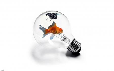 Fish In A Bulb - entertainment, fish, cool, funny